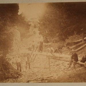 TIRAGE PHOTO Albumine	France	Bucheron ?Vosges?	13X17cm	1880