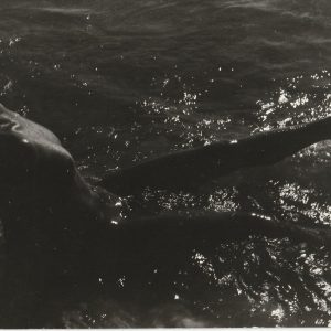 TIRAGE PHOTO	ARGENTIQUE AMATEUR 1970 FEMME NUE NU ARTISTIQUE FORMAT 13X18cm