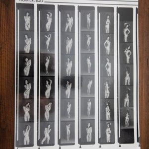 PHOTO argentique nu femme nue PLANCHE CONTACT NOIR ET BLANC  circa 1980