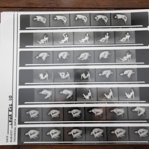 PHOTO argentique nu femme nue PLANCHE CONTACT NOIR ET BLANC  circa 1980