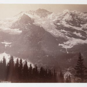photo albumine suisse format 10x15cm bon état montagne "la Jungerau" 1880