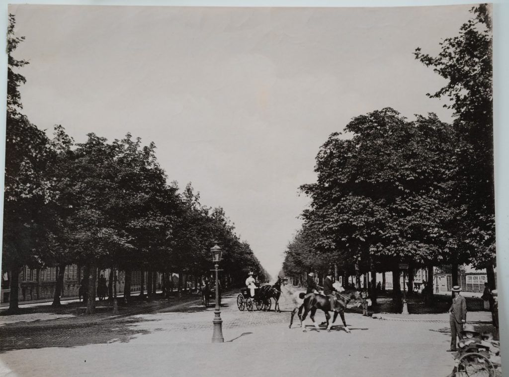 PHOTO Albumine	Belgique	Bruxelles avenue Louise	21X27cm	1880