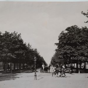 PHOTO Albumine	Belgique	Bruxelles avenue Louise	21X27cm	1880