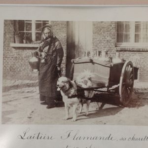TIRAGE PHOTO ALBUMINE 11X17cm 1880 laitiere flamande CHARETTE à CHIEN 11X17CM