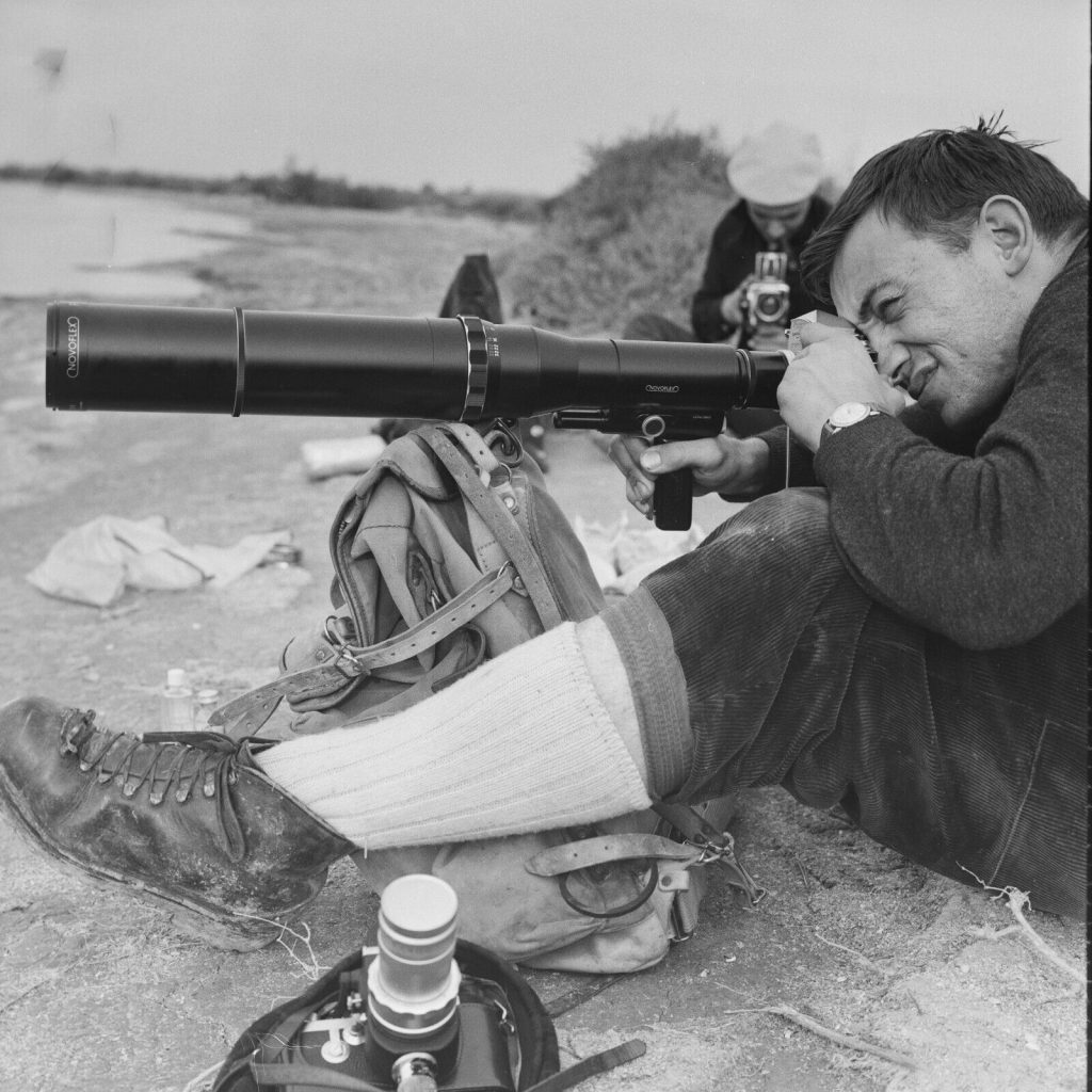 Tirage photo sur papier  argentique photographe ornithologue 1960 format 30x30cm