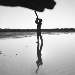 Tirage photo sur papier  argentique photographe ornithologue 1960 format 30x30cm