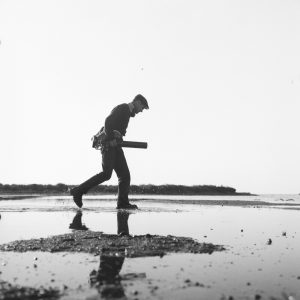 Tirage photo sur papier  argentique photographe ornithologue 1960 format 30x30cm