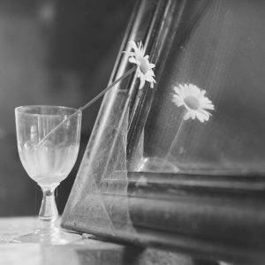 Photo papier  argentique nature morte 1960 format 40x40cm