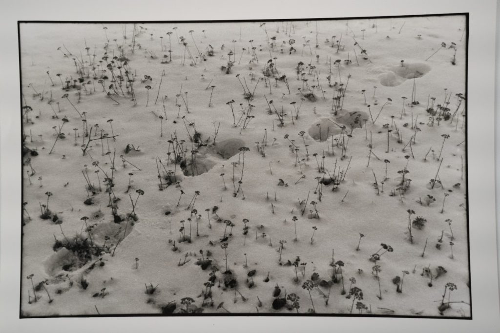 PHOTO Argentique reportage en Roumanie 18X24cm 1990 Olivier Culmann
