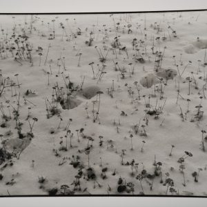 PHOTO Argentique reportage en Roumanie 18X24cm		1990	Olivier Culmann