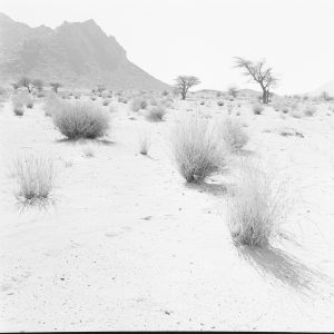 Photo sur papier  argentique BARYTE  DESERT Algerie 1960 format 40x40cm