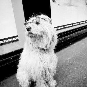 Photo argentique artistique STREET PHOTOGRAPHY PARIS  format 30x45cm