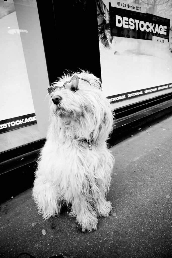 Photo argentique artistique STREET PHOTOGRAPHY PARIS  format 30x45cm