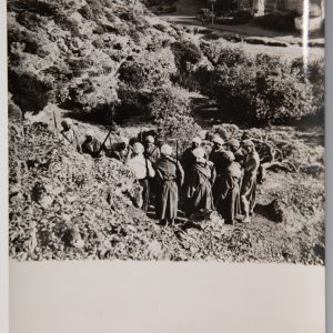 PHOTO DE PRESSE TAMPON AGENCE INTERCONTINENTAL 1950	GUERRE D' ALGERIE 13X18cm