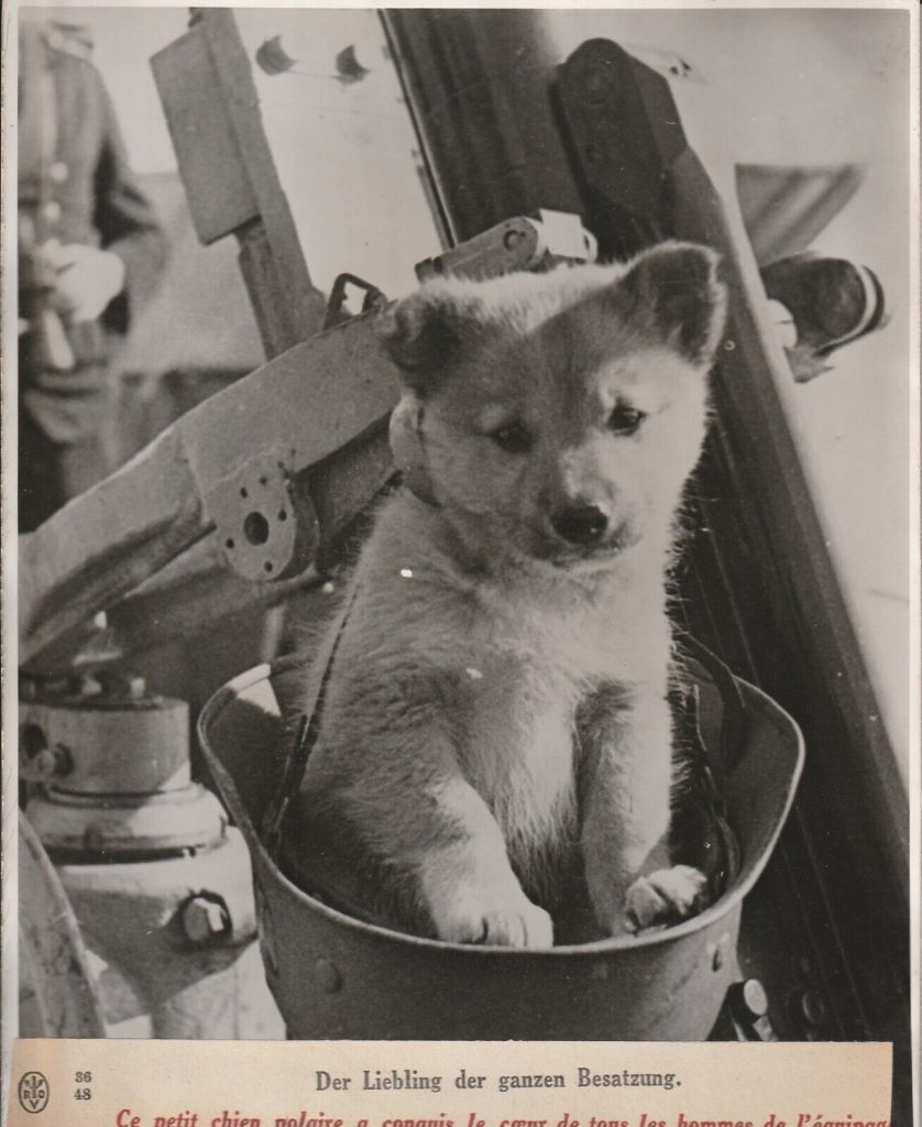 TIRAGE PHOTO argentique Baryté Scherl Bilderdienst 1940 PHOTO DE PRESSE 18x24cm