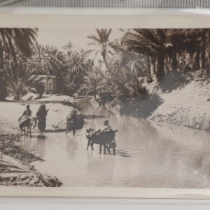 SNAP SHOT VINTAGE  PROFESSIONEL OASIS ALGER ALGERIE