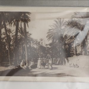 SNAP SHOT VINTAGE  PROFESSIONEL OASIS ALGER ALGERIE