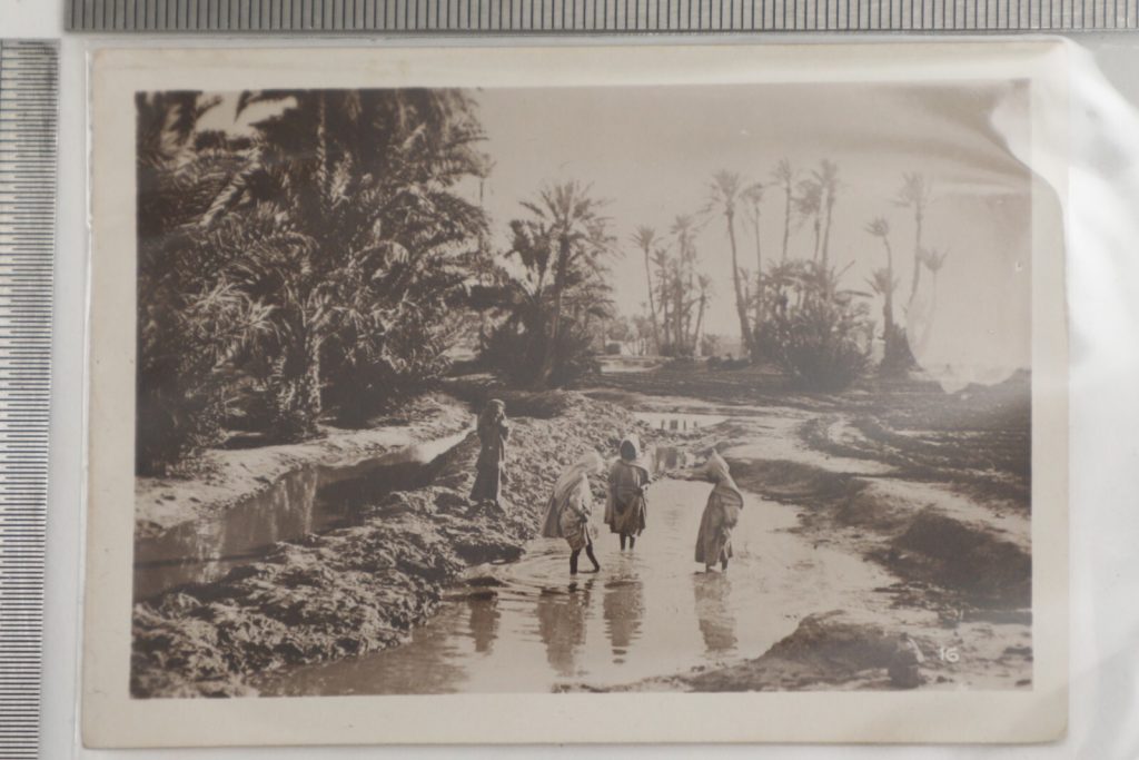 SNAP SHOT VINTAGE PROFESSIONEL OASIS ALGER ALGERIE