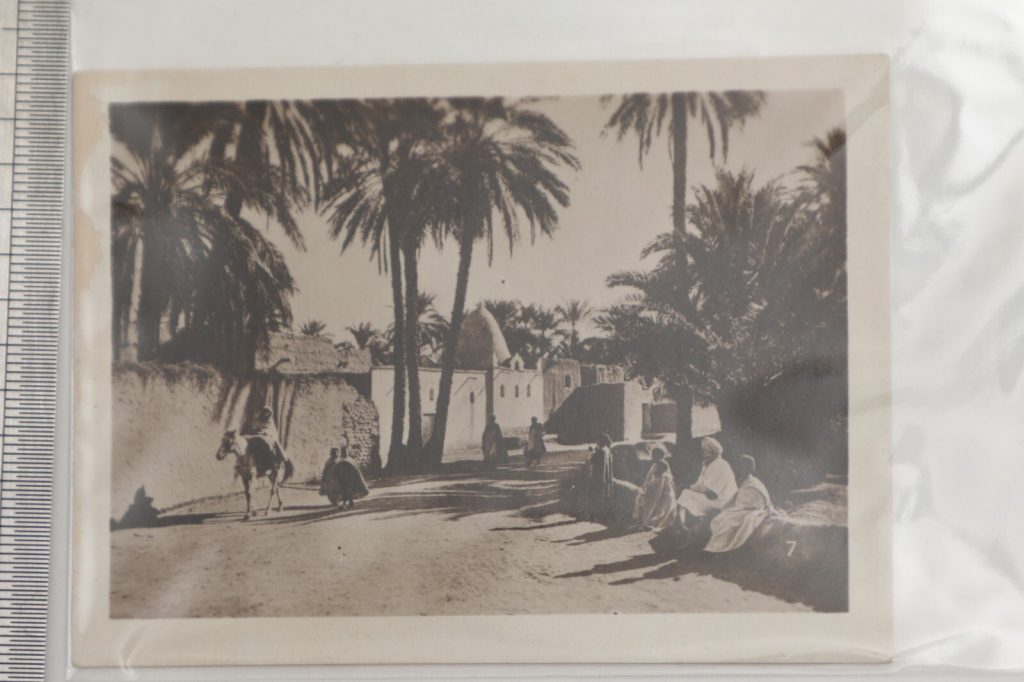 SNAP SHOT VINTAGE PROFESSIONEL RUE ALGER ALGERIE