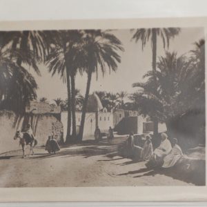 SNAP SHOT VINTAGE  PROFESSIONEL RUE ALGER ALGERIE