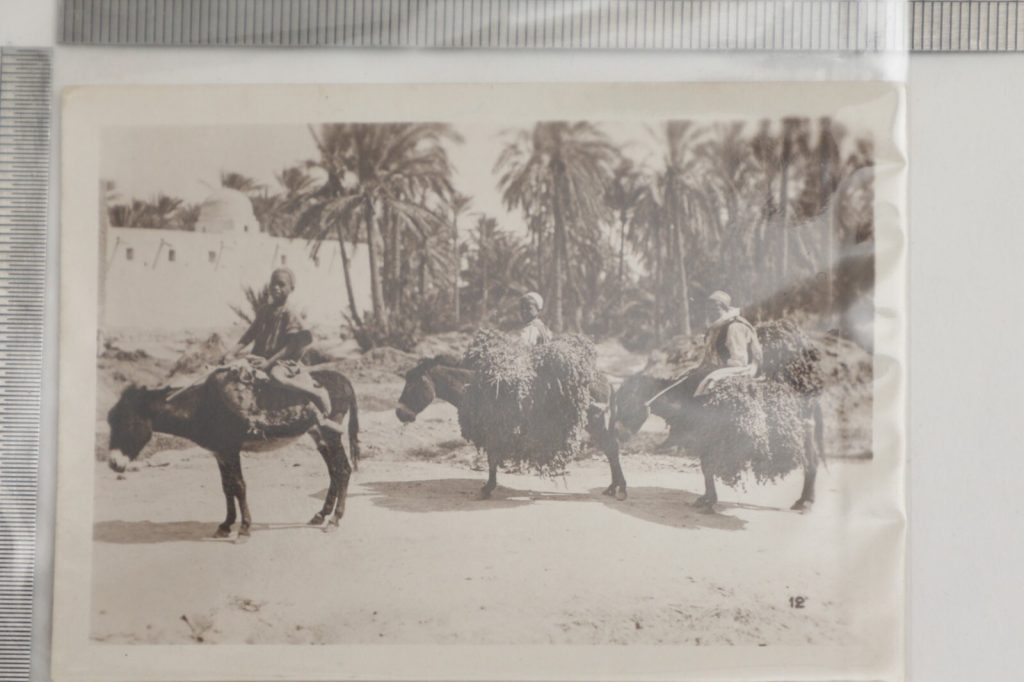 Tirage photo SNAP SHOT VINTAGE PROFESSIONEL ENFANT ANE ALGER ALGERIE