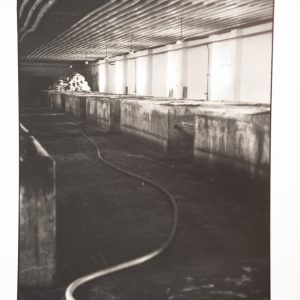 TIRAGE PHOTO  ARGENTIQUE 1990' Olivier Culmann	reportage en Roumanie 18X24cm