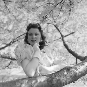 Tirage photo argentique FEMME DANS UN ARBRE 30X30cm PIN UP 1970