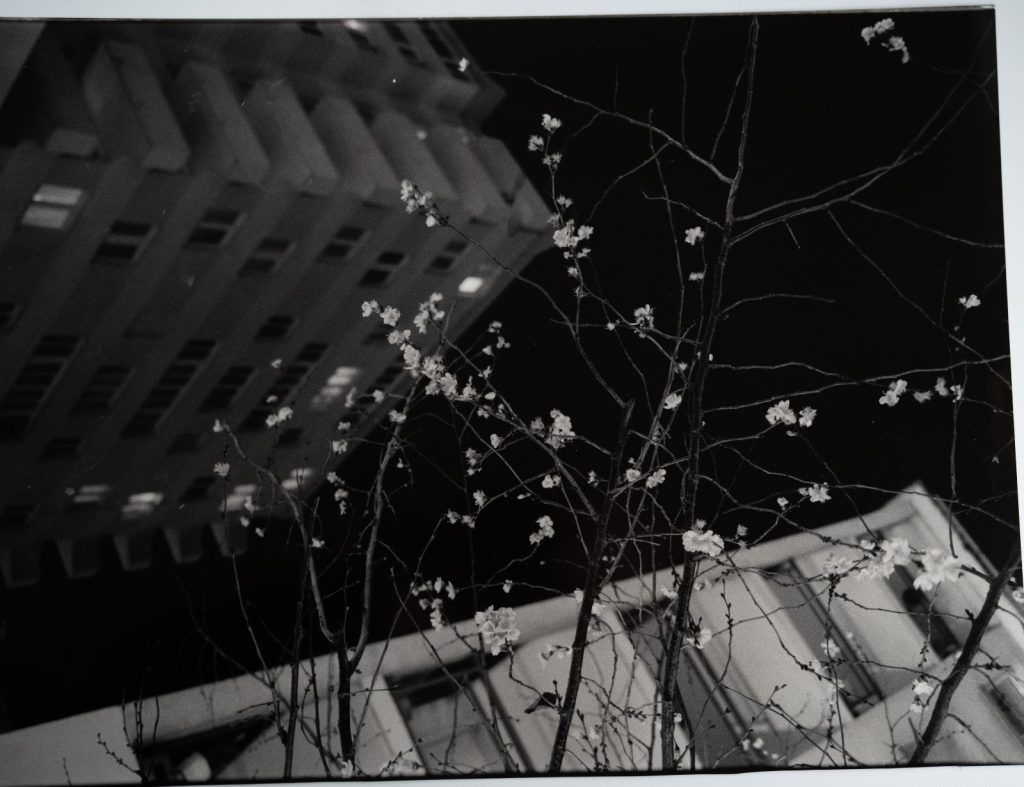 TIRAGE PHOTO Argentique France vue d'artiste nuit ville nuit France 30x40cm 1960