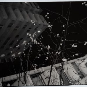 TIRAGE PHOTO Argentique	France	vue d'artiste nuit ville nuit France	30x40cm	1960