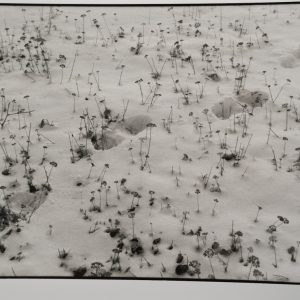 PHOTO Argentique reportage en Roumanie 18X24cm		1990	Olivier Culmann