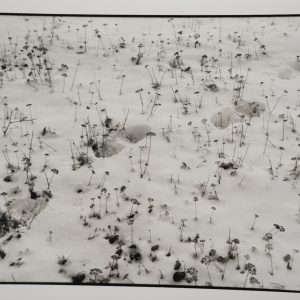 PHOTO Argentique reportage en Roumanie 18X24cm		1990	Olivier Culmann