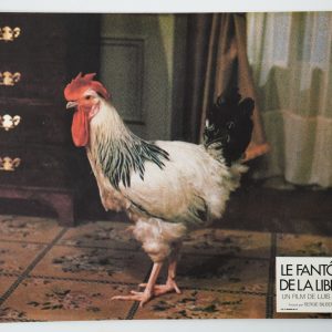 PHOTO Cinéma LOBBY CARDS LE FANTOME DE LA LIBERTE	22X28cm	1970