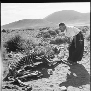 Tirage photo sur papier  argentique militaire camion Algerie 1950 20x20cm