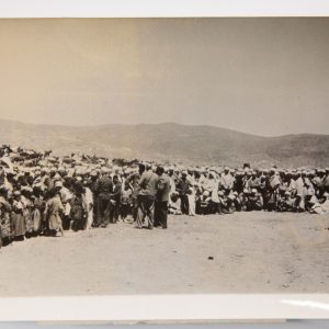 PHOTO DE PRESSE TAMPON AGENCE INTERCONTINENTAL 1950	GUERRE D' ALGERIE 13X18cm