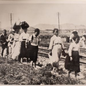 1950 PHOTO DE PRESSE MILITAIRE refigie, DE GUERRE DE COREE 18X23cm