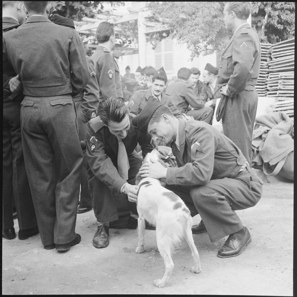 Tirage photo sur papier argentique militaire Algerie 1950 20x20cm
