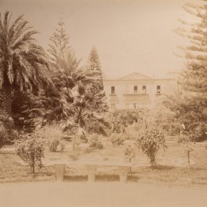 TIRAGE PHOTO ALBUMINE 1880 ITALIE 19X24cm PALERME VILLA TASCA