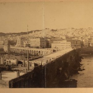 TIRAGE PHOTO	Albumine 1880 panoramique	Alger panorama 20X52cm