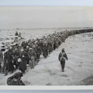 PHOTO de presse militaire 1945 armée britannique en Libye 15X2Ocm