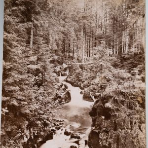 Photo Albumine	France	La Vologne dans Les Vosges	23X28cm	1890