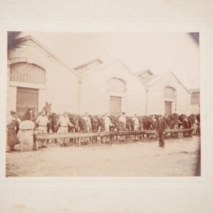 PHOTO ARGENTIQUE  MILITARIA FORMAT 8,5X11,5cm CIRCA 1890 MILITAIRE ET CHEVAUX