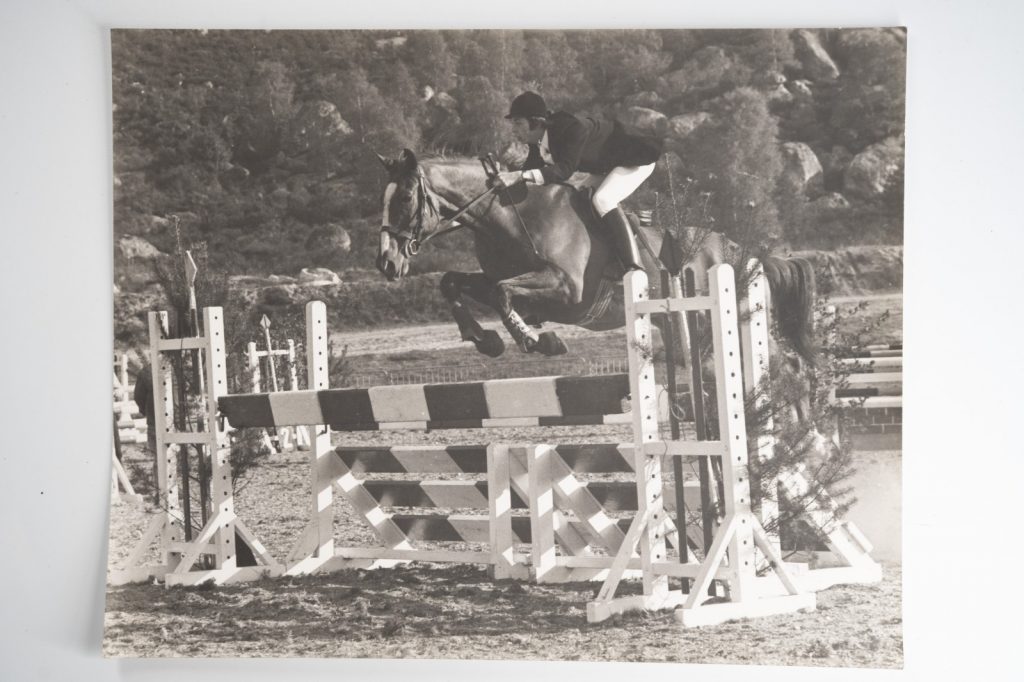 PHOTO Argentique France Equitation cheval saut d'obstacles 24X29cm 1970