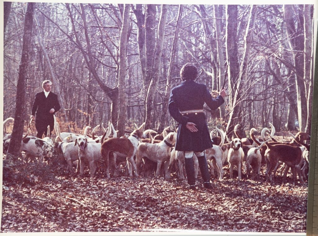 PHOTO Argentique, RC France chasse à courre vénerie cheval 24X30cm 1970