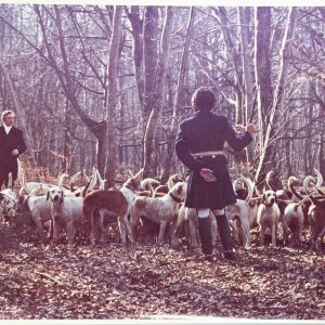 PHOTO Argentique, RC	France	chasse à courre vénerie cheval	24X30cm	1970
