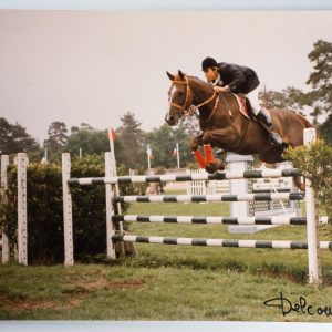 PHOTO Argentique	France	Equitation cheval saut d'obstacles	30x40cm	1970