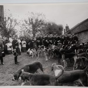 PHOTO Argentique chasse à courre vénerie cheval CHIEN 18X24cm 1970