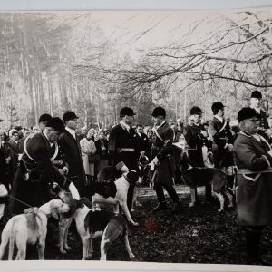 PHOTO Argentique chasse à courre vénerie cheval CHIEN 18X24cm 1970