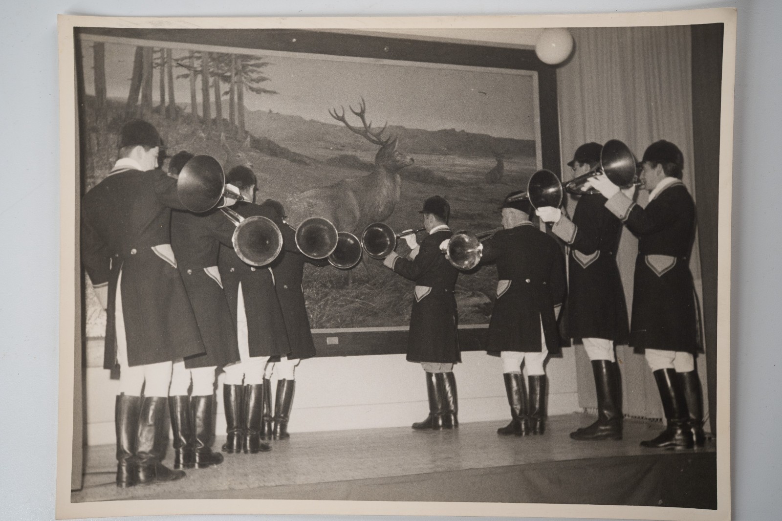 PHOTO Argentique chasse à courre vénerie cheval 18X24cm 1970