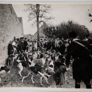 PHOTO Argentique chasse à courre vénerie cheval CHIEN 18X24cm 1970
