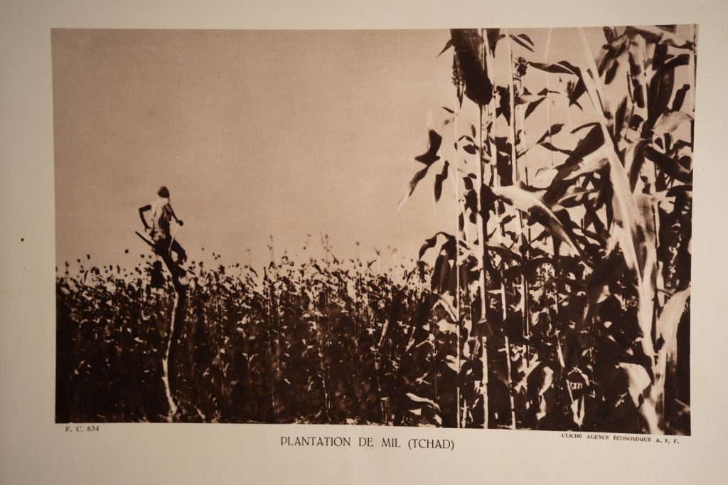 photo Heliogravure 1930 Paysage Afrique Equatoriale TCHAD PHOTO 16X25cm